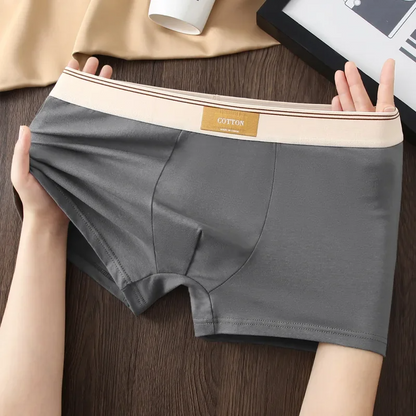ESTRAVINO Cotton Boxer Briefs