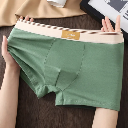 ESTRAVINO Cotton Boxer Briefs