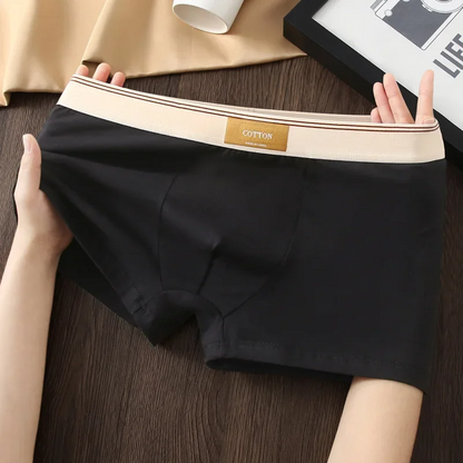ESTRAVINO Cotton Boxer Briefs
