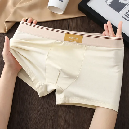 ESTRAVINO Cotton Boxer Briefs